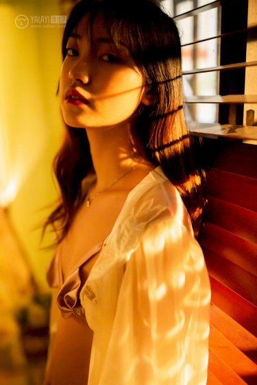 吸血鬼骑士全集